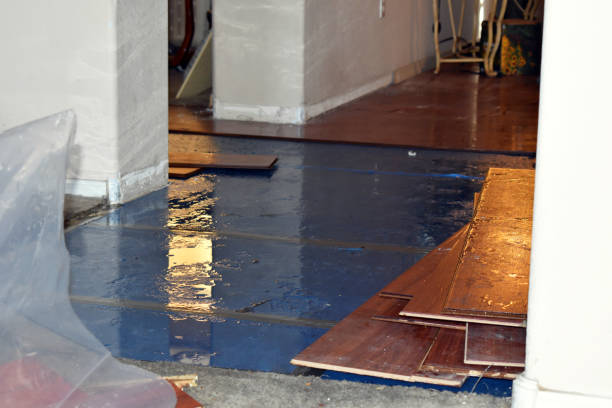 Professional Basement Flooding technician working in Crown City, OH